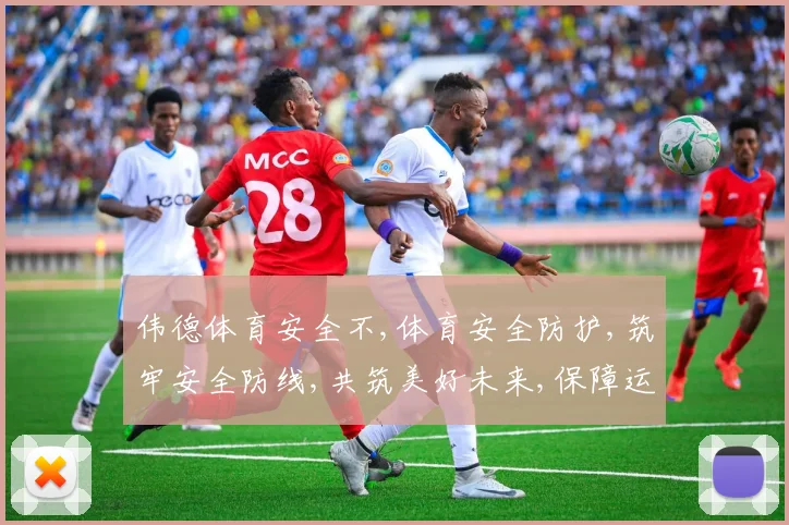 伟德体育安全不,体育安全防护,筑牢安全防线,共筑美好未来,保障运动无忧。
