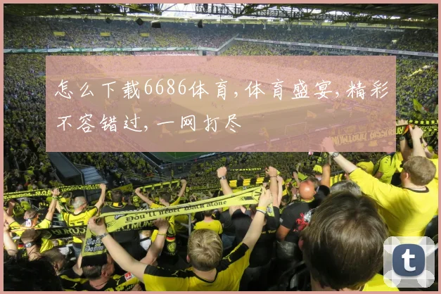 怎么下载6686体育,体育盛宴,精彩不容错过,一网打尽