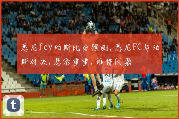 悉尼fcv珀斯比分预测,悉尼FC与珀斯对决,悬念重重,谁将问鼎