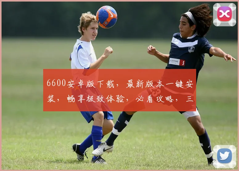 6600安卓版下载，最新版本一键安装，畅享极致体验，必看攻略，三步轻松完成
