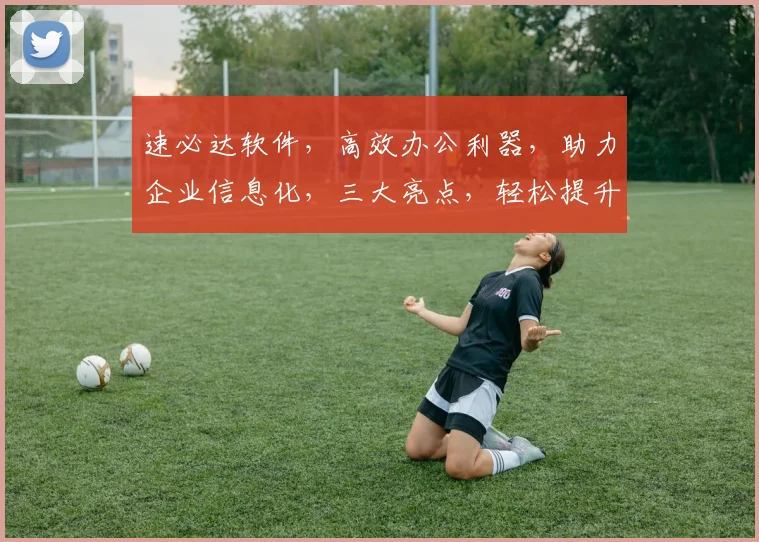 速必达软件，高效办公利器，助力企业信息化，三大亮点，轻松提升工作效率，值得信赖