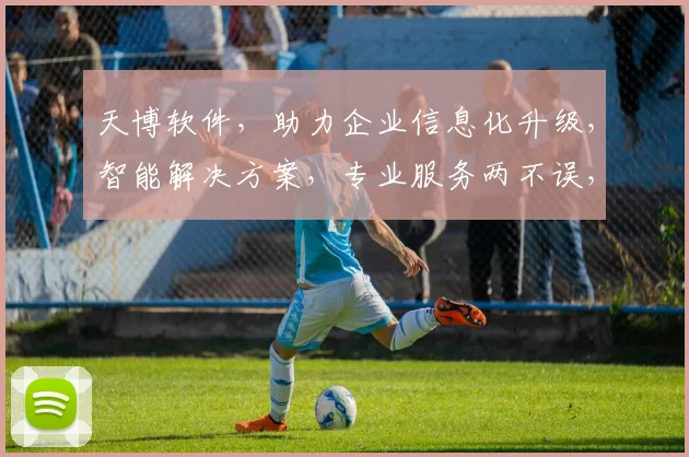 天博软件，助力企业信息化升级，智能解决方案，专业服务两不误，提升办公效率新选择